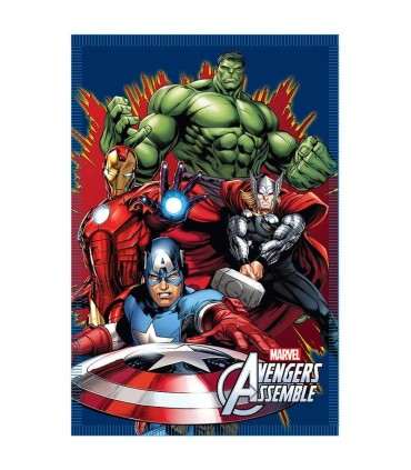 Vengadores manta polar | Complementos en La Granota