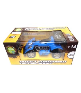 Buggy Luminoso Radio Control | Vehículos rc en La Granota