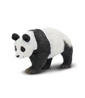 Safari Oso Panda | Animales en La Granota