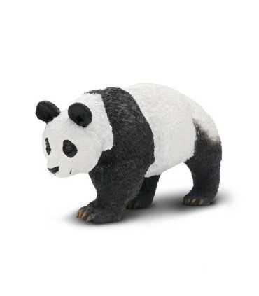 Safari Oso Panda | Animales en La Granota