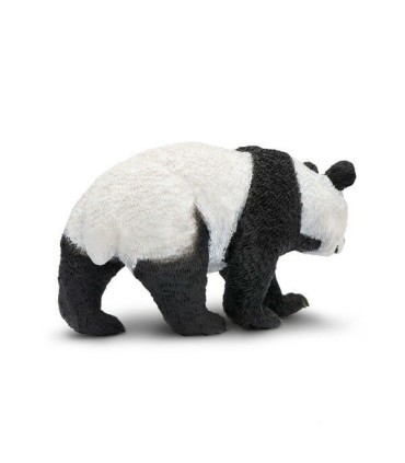 Safari Oso Panda | Animales en La Granota