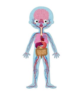 Set 4 Puzzles El Cuerpo Humano Janod | Puzzles en La Granota