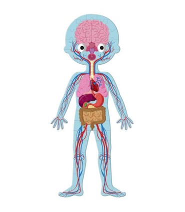 Set 4 Puzzles El Cuerpo Humano Janod | Puzzles en La Granota
