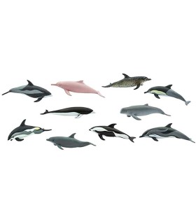 Tubo Delfines Safari | La Granota