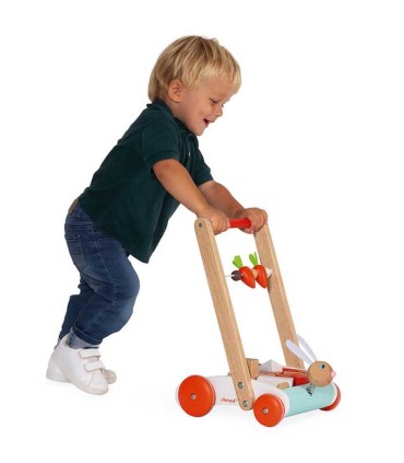 Andador Con Bloques Janod | La Granota