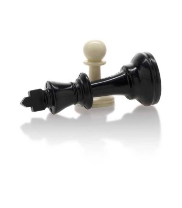 Piezas Ajedrez en Caja de Madera Nº 3 | La Granota