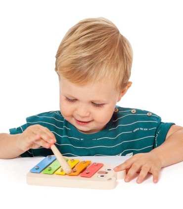 Set Musical De Madera Moltó | La Granota