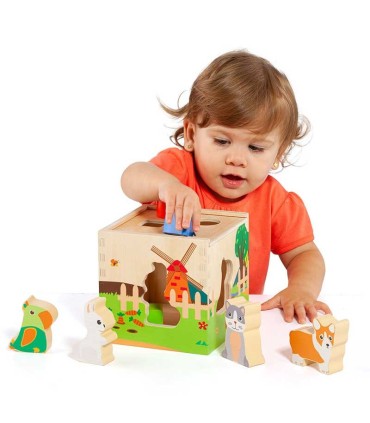 Cubo De Actividades Animales Moltó | La Granota