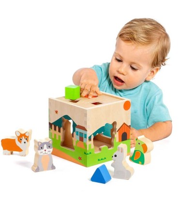 Cubo De Actividades Animales Moltó | La Granota