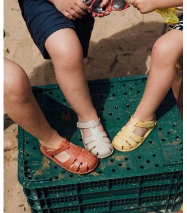 Cangrejera Igor Nemo Solid Arena | lagranota.es