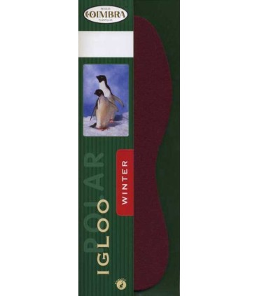 Plantilla Igloo Polar adulto | Plantillas y material de limpieza en...