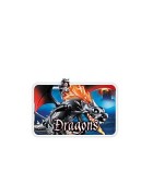 Playmobil Dragons